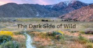 The Dark Side of Wild